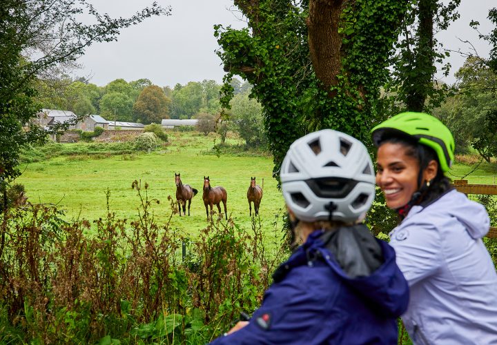 Midleton to Youghal Greenway