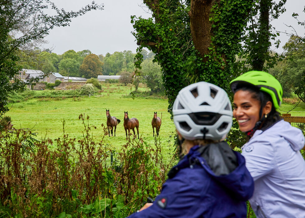 Midleton to Youghal Greenway