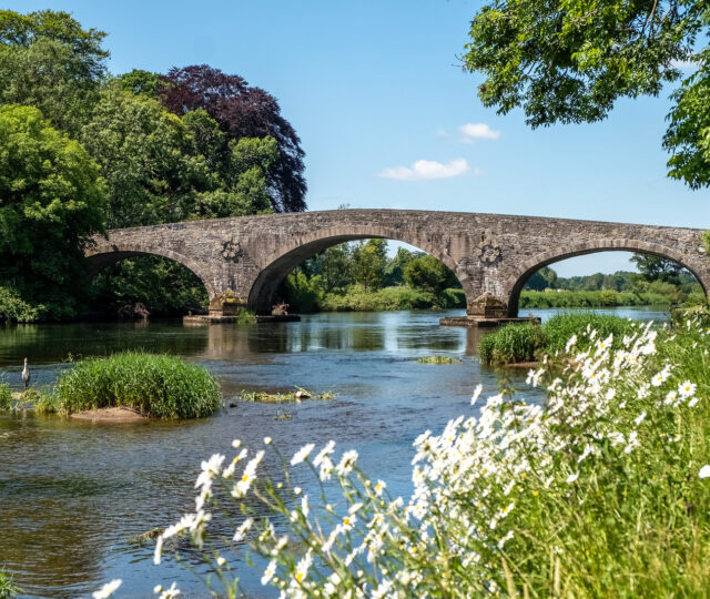 Suir Blueway Greenway