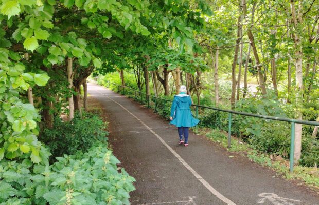 Dodder Greenway - County