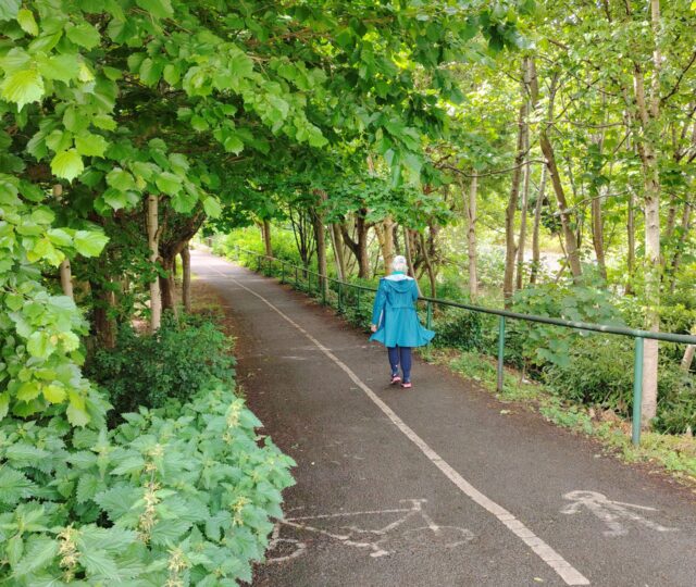 Dodder Greenway – County