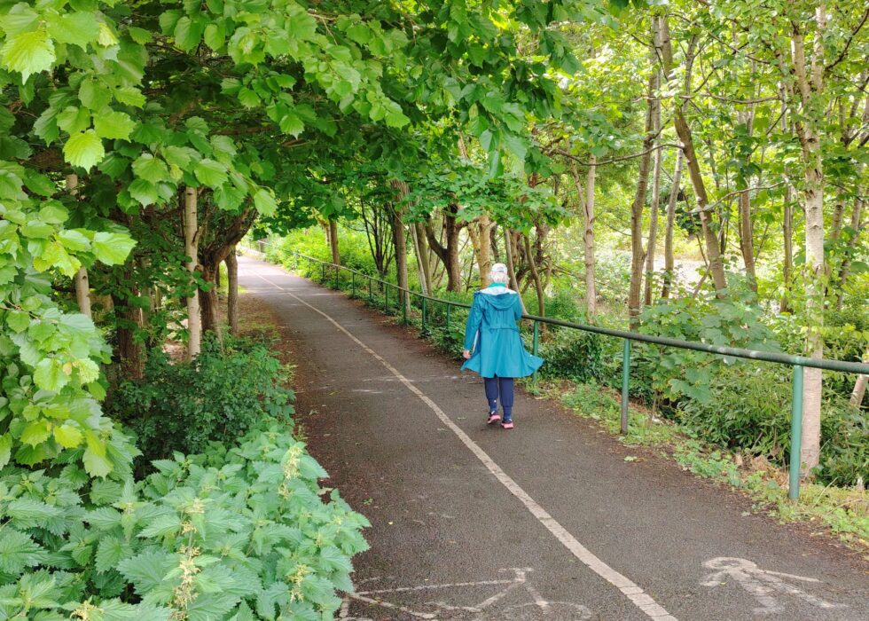 Dodder Greenway – County