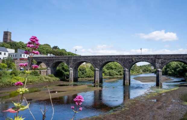 Grand Canal Greenway Update