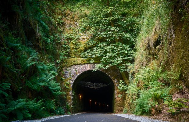 History and Heritage